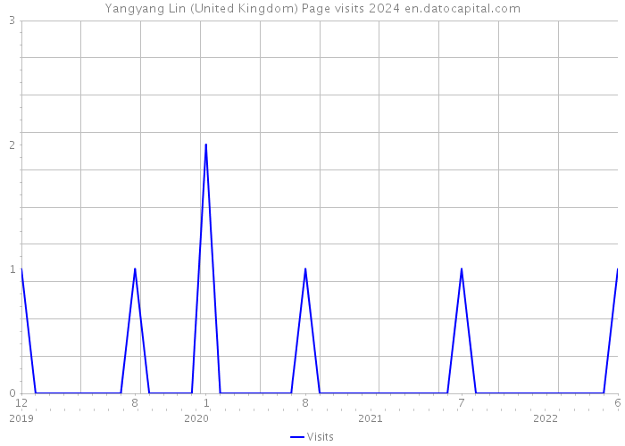 Yangyang Lin (United Kingdom) Page visits 2024 