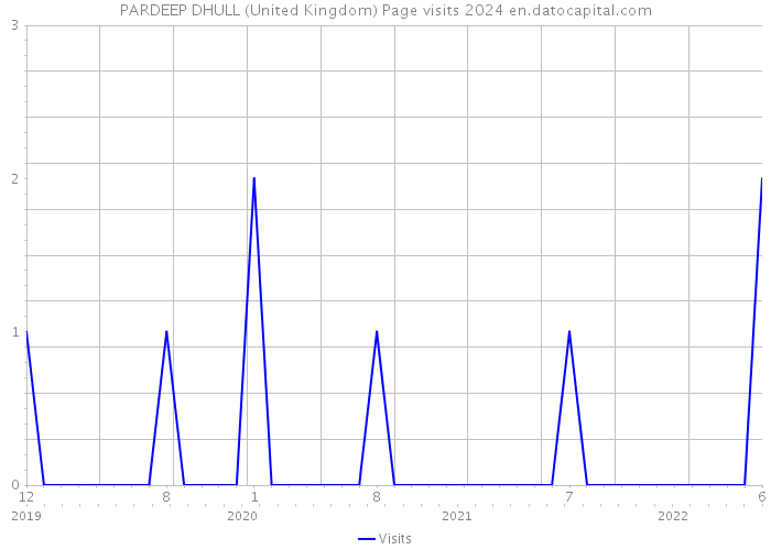 PARDEEP DHULL (United Kingdom) Page visits 2024 