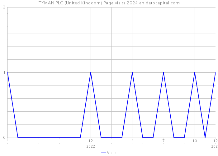 TYMAN PLC (United Kingdom) Page visits 2024 