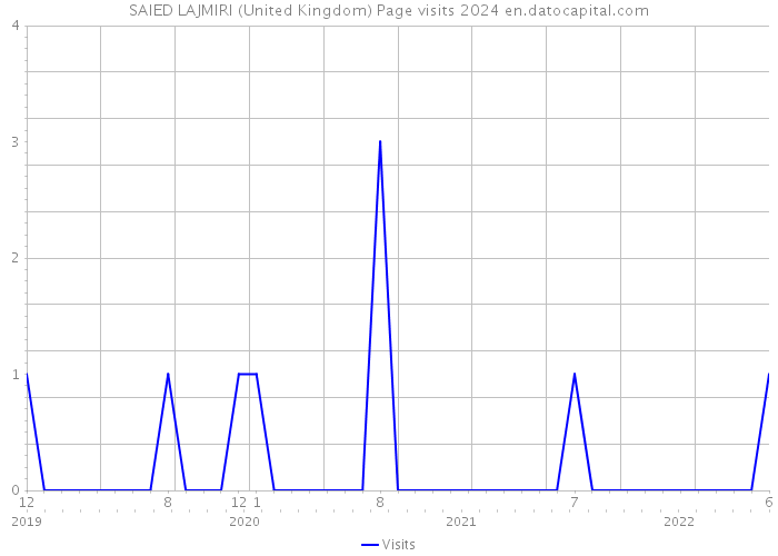 SAIED LAJMIRI (United Kingdom) Page visits 2024 