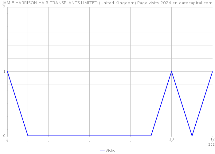 JAMIE HARRISON HAIR TRANSPLANTS LIMITED (United Kingdom) Page visits 2024 