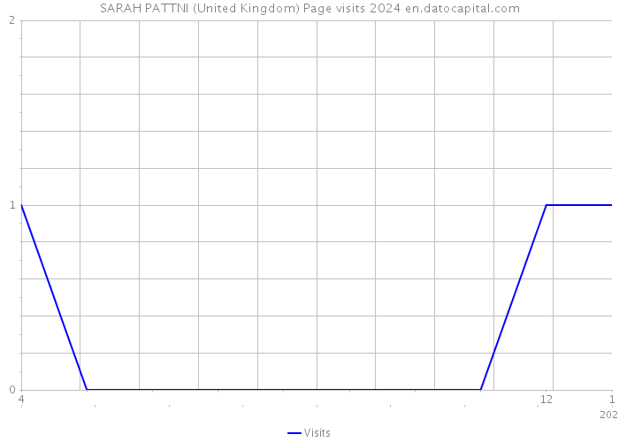 SARAH PATTNI (United Kingdom) Page visits 2024 