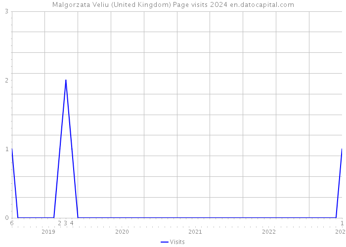 Malgorzata Veliu (United Kingdom) Page visits 2024 