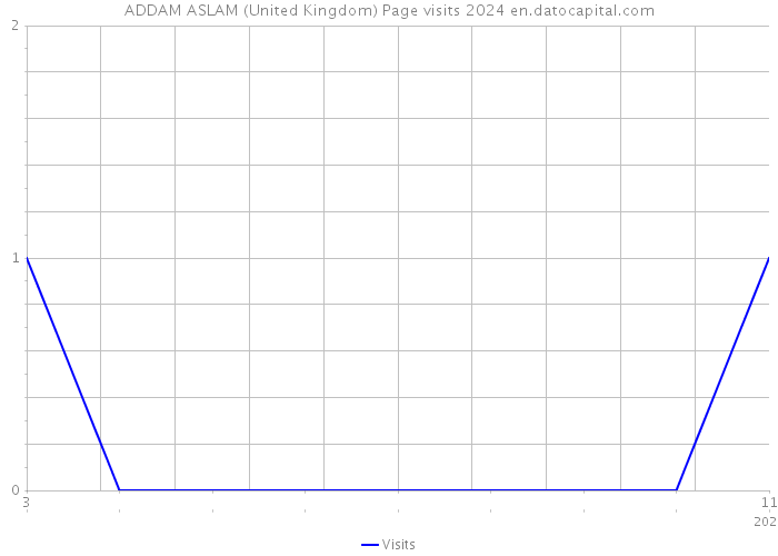 ADDAM ASLAM (United Kingdom) Page visits 2024 