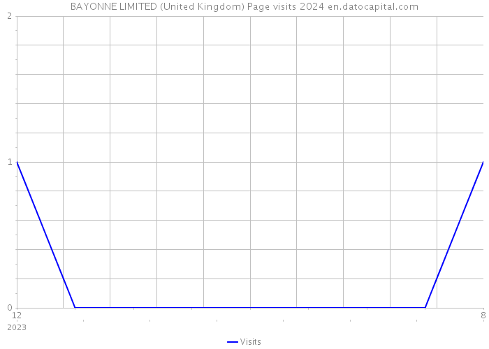 BAYONNE LIMITED (United Kingdom) Page visits 2024 