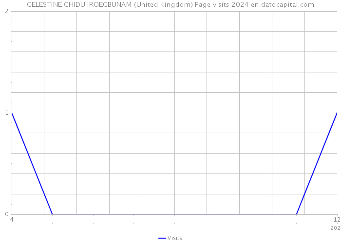 CELESTINE CHIDU IROEGBUNAM (United Kingdom) Page visits 2024 