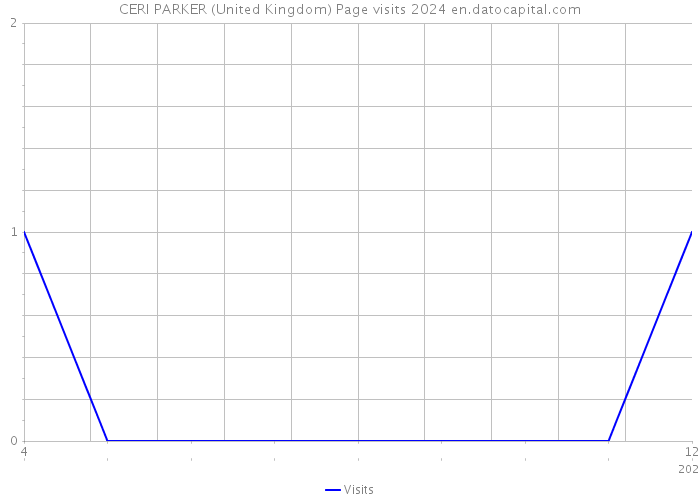 CERI PARKER (United Kingdom) Page visits 2024 