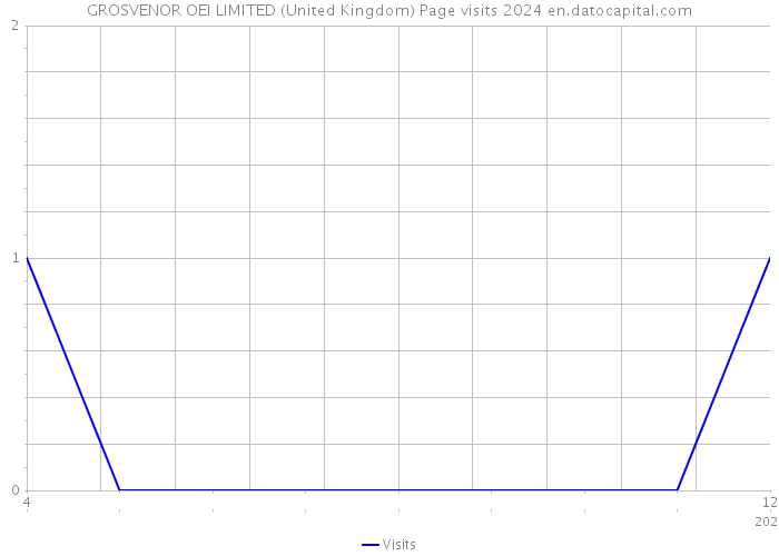 GROSVENOR OEI LIMITED (United Kingdom) Page visits 2024 