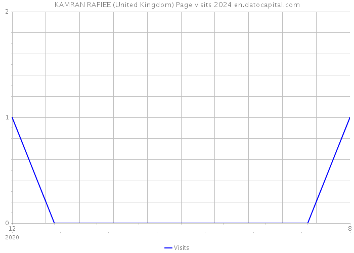 KAMRAN RAFIEE (United Kingdom) Page visits 2024 