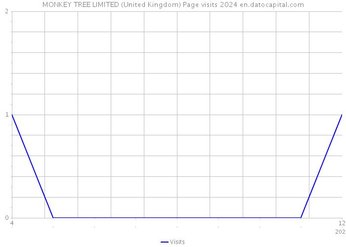 MONKEY TREE LIMITED (United Kingdom) Page visits 2024 