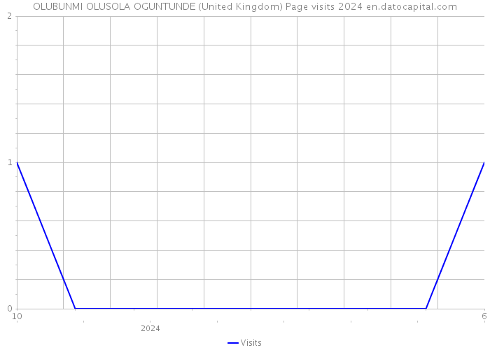 OLUBUNMI OLUSOLA OGUNTUNDE (United Kingdom) Page visits 2024 