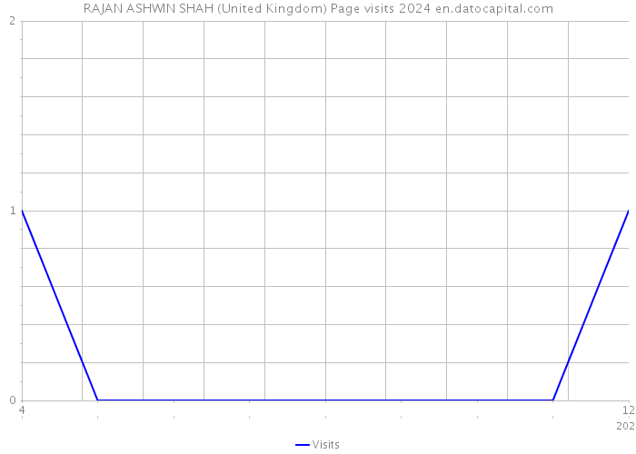 RAJAN ASHWIN SHAH (United Kingdom) Page visits 2024 