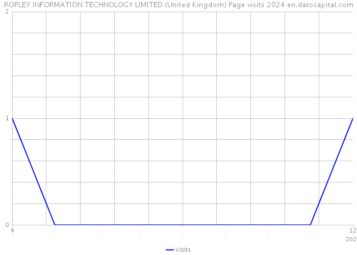 ROPLEY INFORMATION TECHNOLOGY LIMITED (United Kingdom) Page visits 2024 