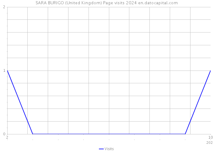 SARA BURIGO (United Kingdom) Page visits 2024 
