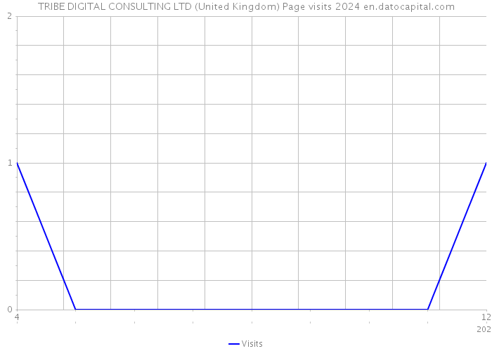 TRIBE DIGITAL CONSULTING LTD (United Kingdom) Page visits 2024 