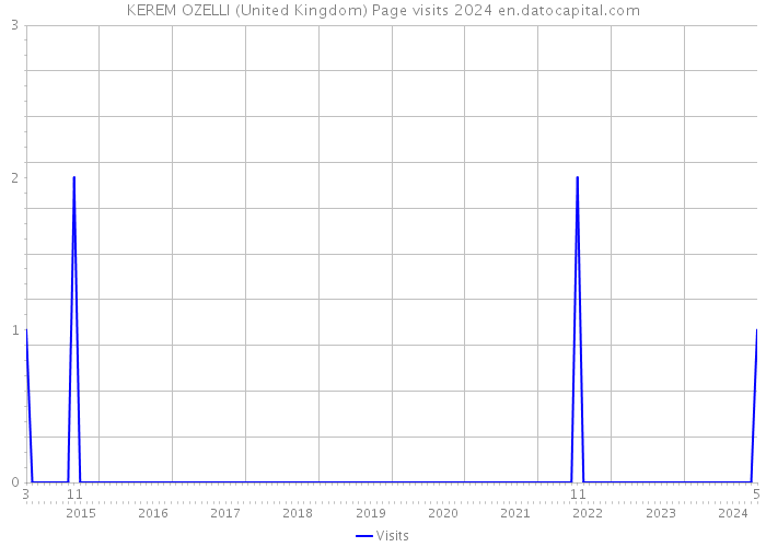 KEREM OZELLI (United Kingdom) Page visits 2024 
