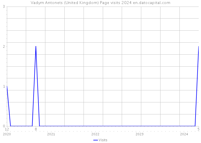 Vadym Antonets (United Kingdom) Page visits 2024 