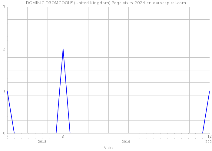 DOMINIC DROMGOOLE (United Kingdom) Page visits 2024 