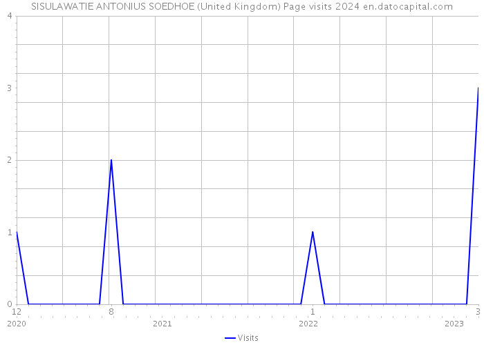SISULAWATIE ANTONIUS SOEDHOE (United Kingdom) Page visits 2024 