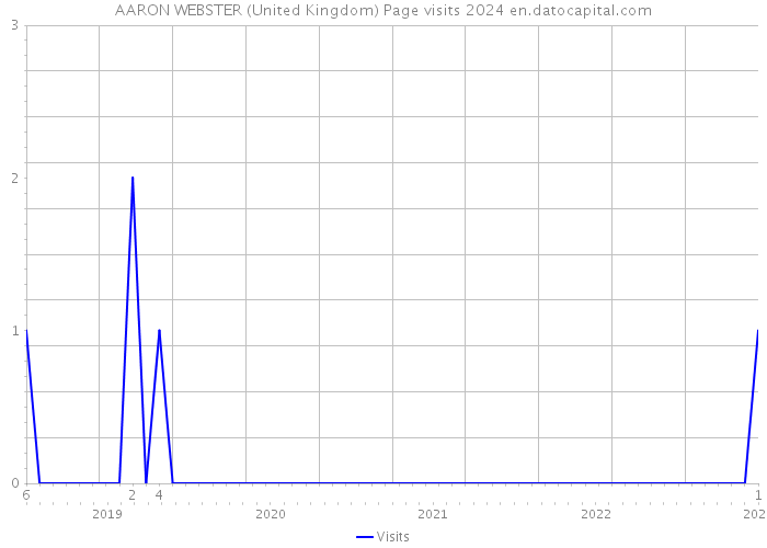 AARON WEBSTER (United Kingdom) Page visits 2024 