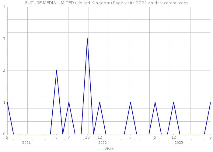 FUTURE MEDIA LIMITED (United Kingdom) Page visits 2024 