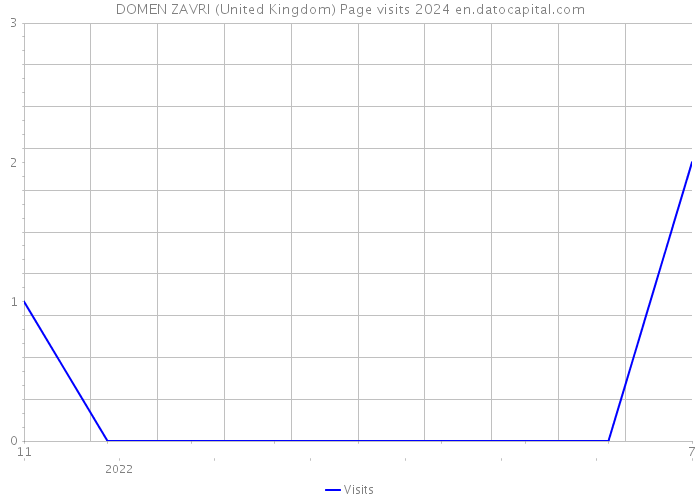 DOMEN ZAVRI (United Kingdom) Page visits 2024 