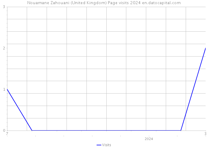 Nouamane Zahouani (United Kingdom) Page visits 2024 