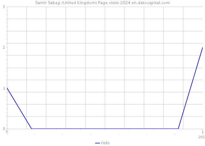 Samir Sabeg (United Kingdom) Page visits 2024 