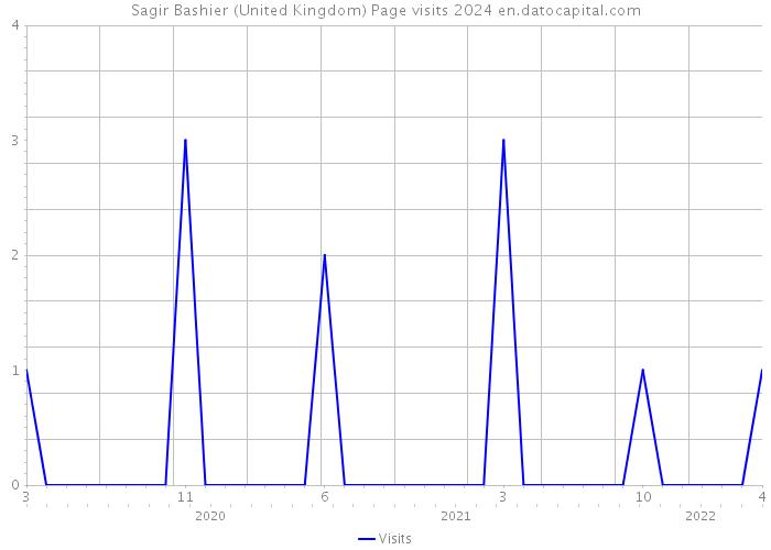 Sagir Bashier (United Kingdom) Page visits 2024 
