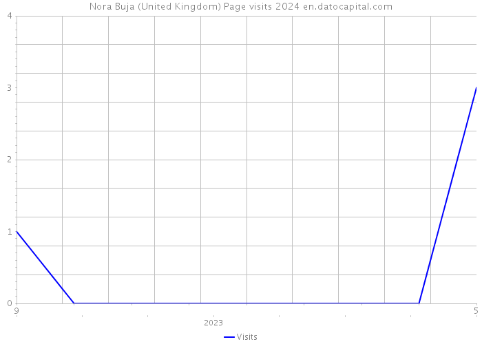 Nora Buja (United Kingdom) Page visits 2024 