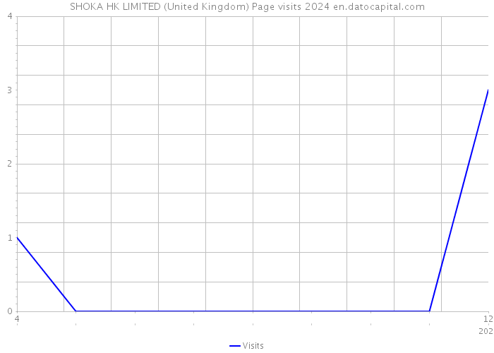 SHOKA HK LIMITED (United Kingdom) Page visits 2024 