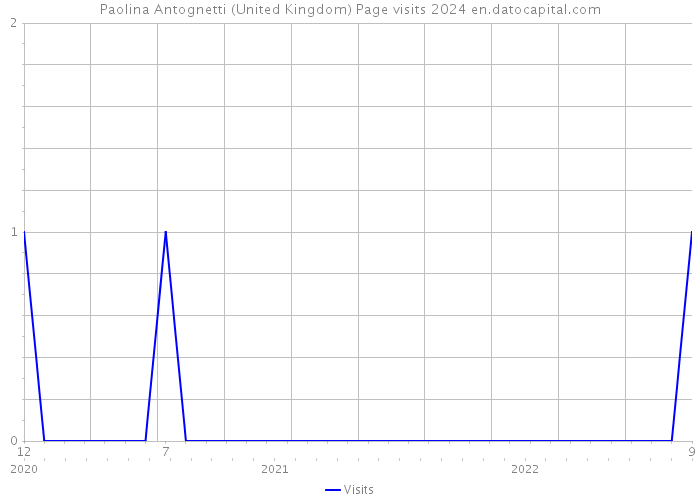 Paolina Antognetti (United Kingdom) Page visits 2024 