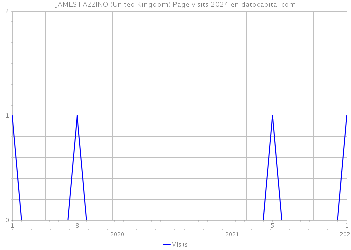 JAMES FAZZINO (United Kingdom) Page visits 2024 
