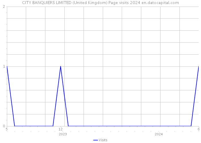 CITY BANQUIERS LIMITED (United Kingdom) Page visits 2024 