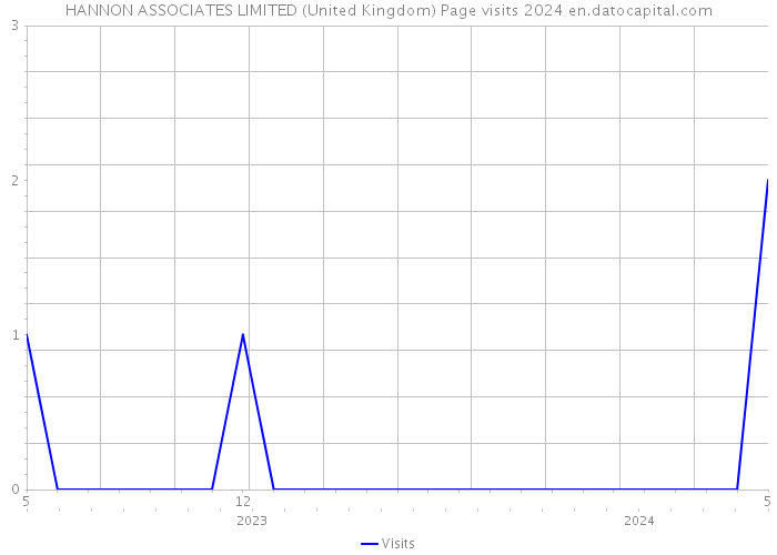 HANNON ASSOCIATES LIMITED (United Kingdom) Page visits 2024 