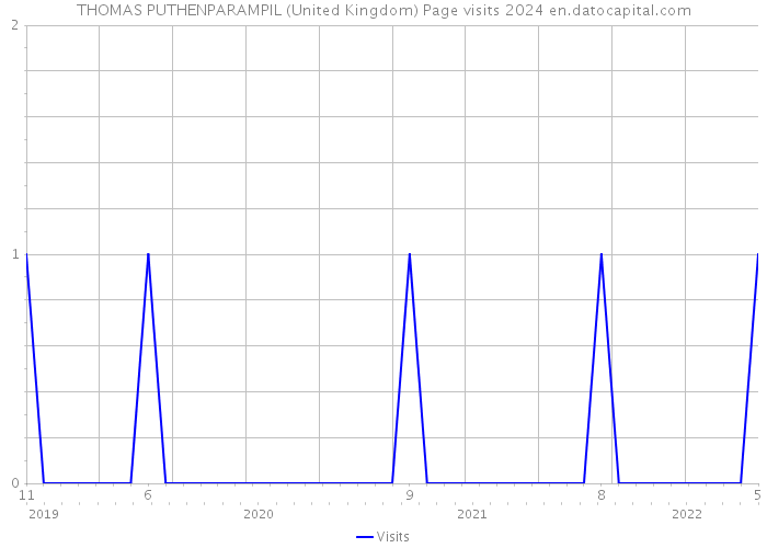 THOMAS PUTHENPARAMPIL (United Kingdom) Page visits 2024 
