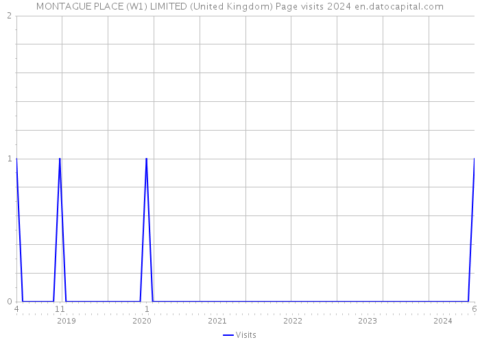 MONTAGUE PLACE (W1) LIMITED (United Kingdom) Page visits 2024 