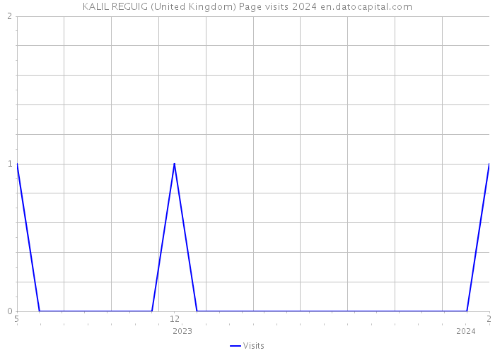KALIL REGUIG (United Kingdom) Page visits 2024 