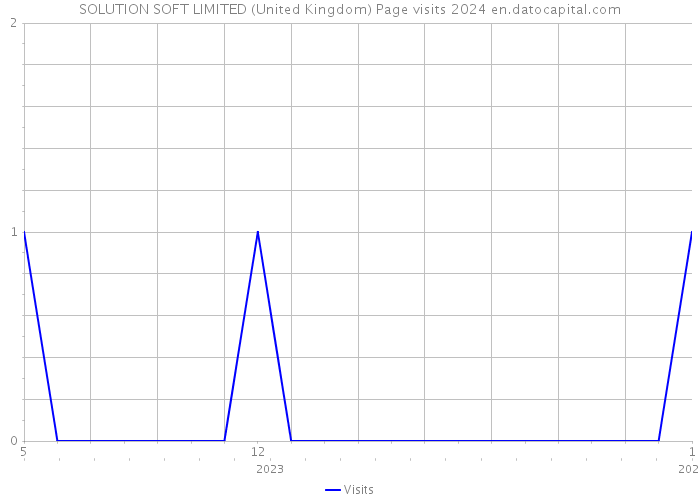 SOLUTION SOFT LIMITED (United Kingdom) Page visits 2024 