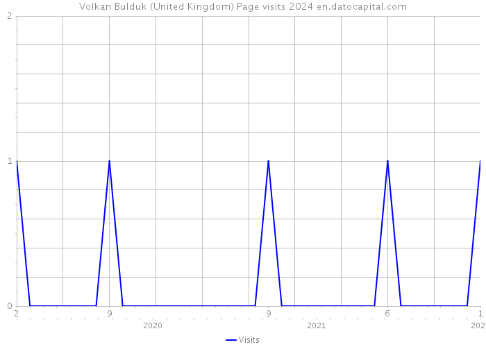 Volkan Bulduk (United Kingdom) Page visits 2024 