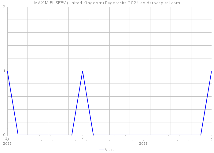 MAXIM ELISEEV (United Kingdom) Page visits 2024 