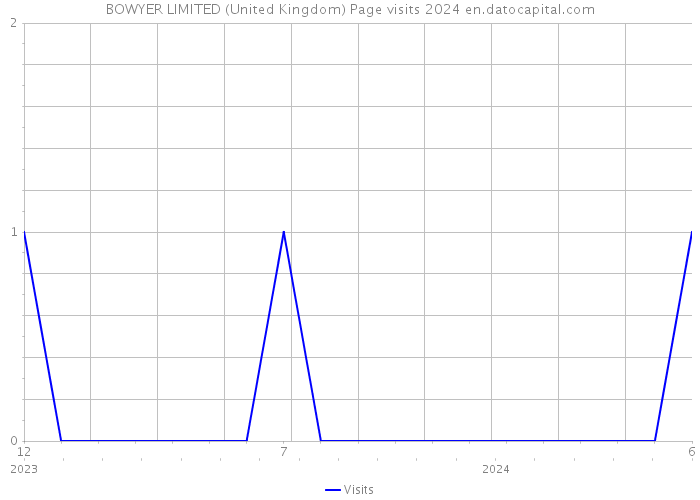 BOWYER LIMITED (United Kingdom) Page visits 2024 