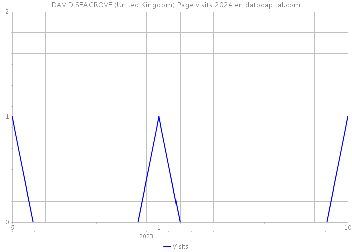 DAVID SEAGROVE (United Kingdom) Page visits 2024 