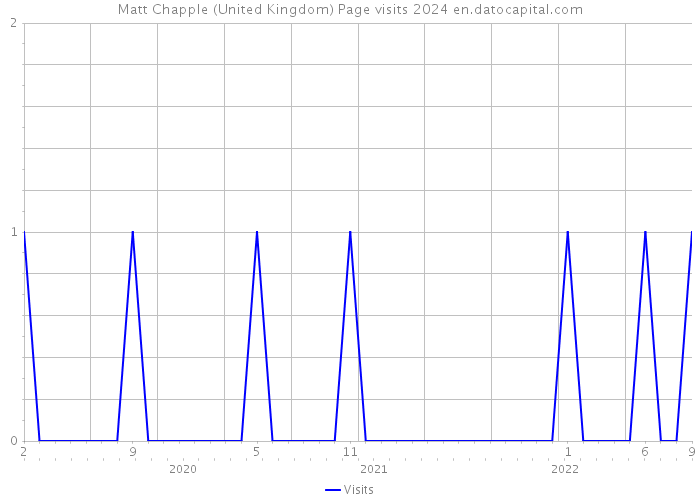 Matt Chapple (United Kingdom) Page visits 2024 