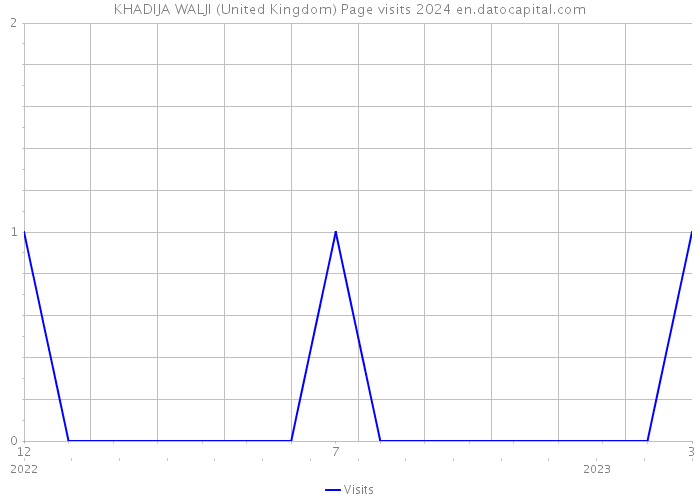KHADIJA WALJI (United Kingdom) Page visits 2024 