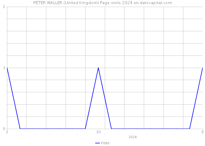 PETER WALLER (United Kingdom) Page visits 2024 
