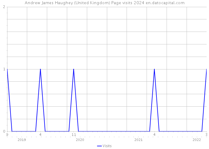 Andrew James Haughey (United Kingdom) Page visits 2024 