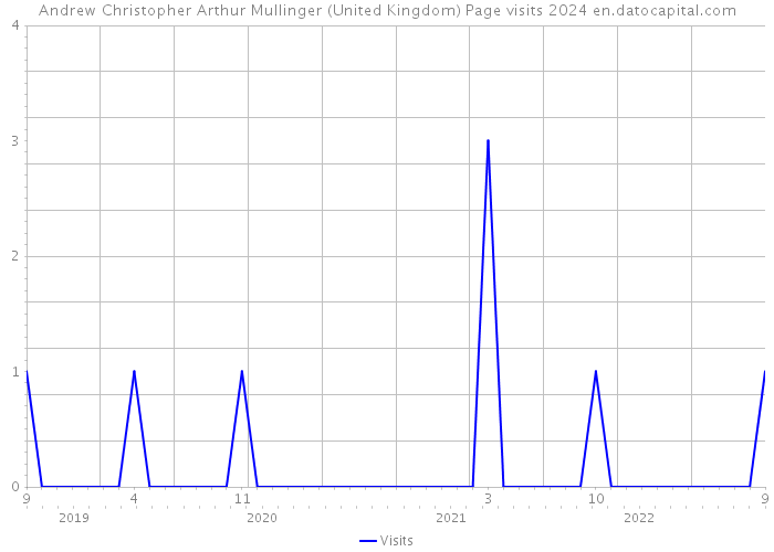 Andrew Christopher Arthur Mullinger (United Kingdom) Page visits 2024 