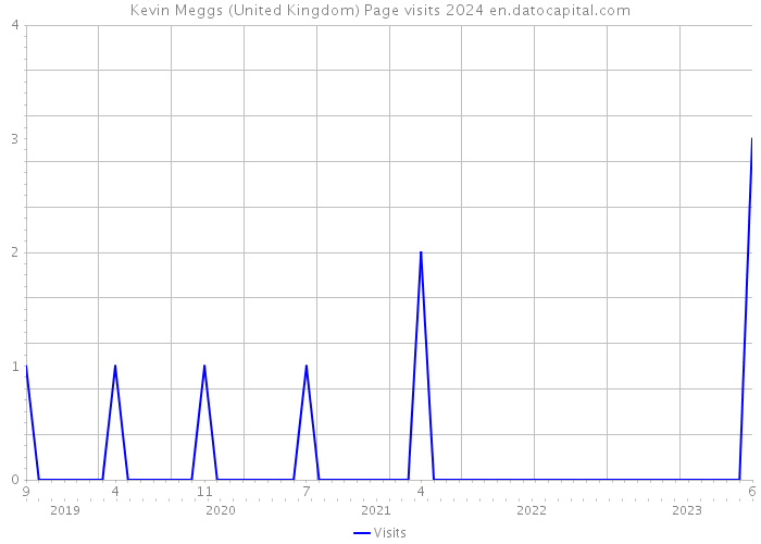 Kevin Meggs (United Kingdom) Page visits 2024 