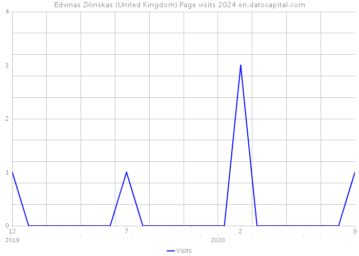 Edvinas Zilinskas (United Kingdom) Page visits 2024 